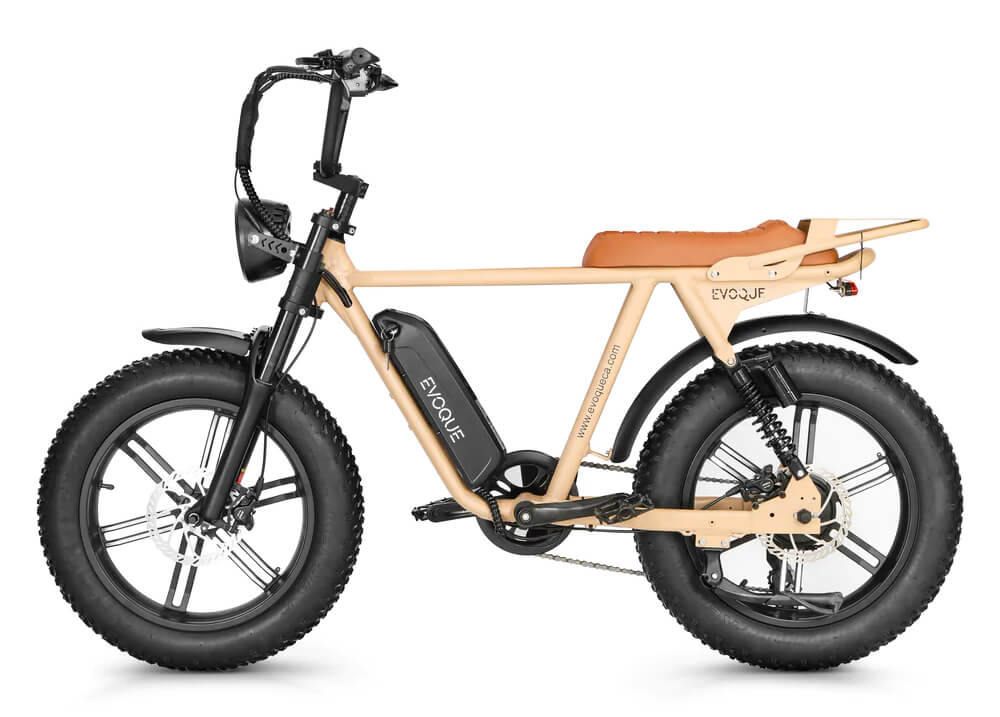 Bicycle  Style E-Bike